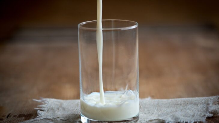 ビナミルク（VNM） 400株取得。ベトナム最大手の乳製品企業は国内外で伸び代あり