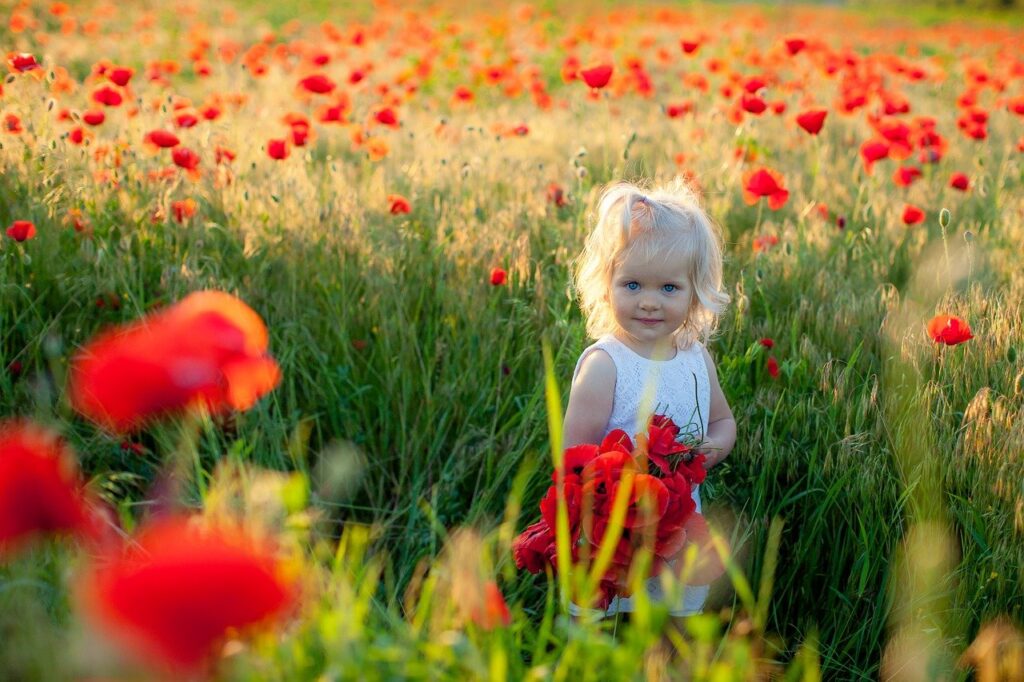 赤い花畑の少女